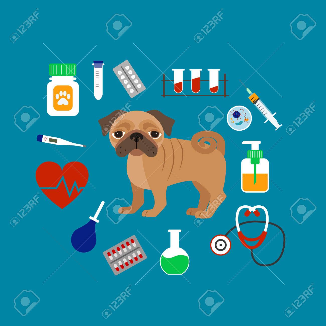 獣医漫画のコンセプトです ベクトル獣医犬のイラスト フラット獣医診療所アイコンの概念 あなたのデザインのカラフルな獣医コンセプト 獣医犬 種パグが分離されました のイラスト素材 ベクタ Image