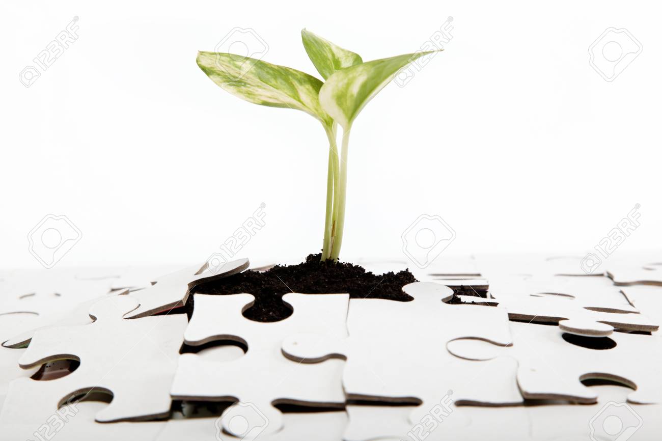 Green sprout from the earth makes its way through the puzzle. - 15091336 Green sprout from the earth makes its way through the puzzle. - 15091336