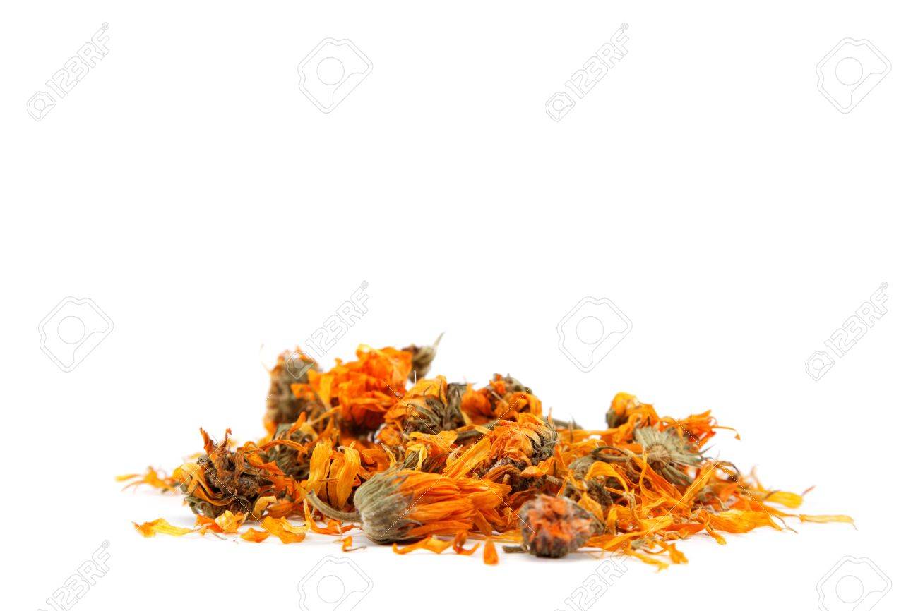 Herbs. Dried calendula or pot marigold flowers isolated on white background. - 17825370 Herbs. Dried calendula or pot marigold flowers isolated on white background. - 17825370
