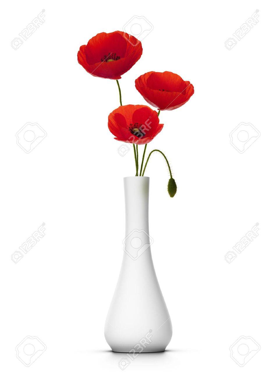 3 切りポピーの花瓶 白い背景 装飾要素 の写真素材 画像素材 Image 3 切りポピーの花瓶 白い背景 装飾要素 の写真素材 画像素材 Image