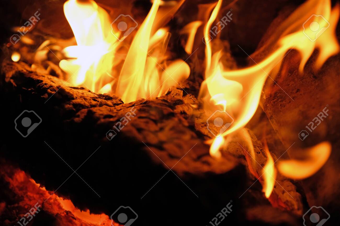 Night close-up campfire in the middle of the sumer night - 134982020 Night close-up campfire in the middle of the sumer night - 134982020