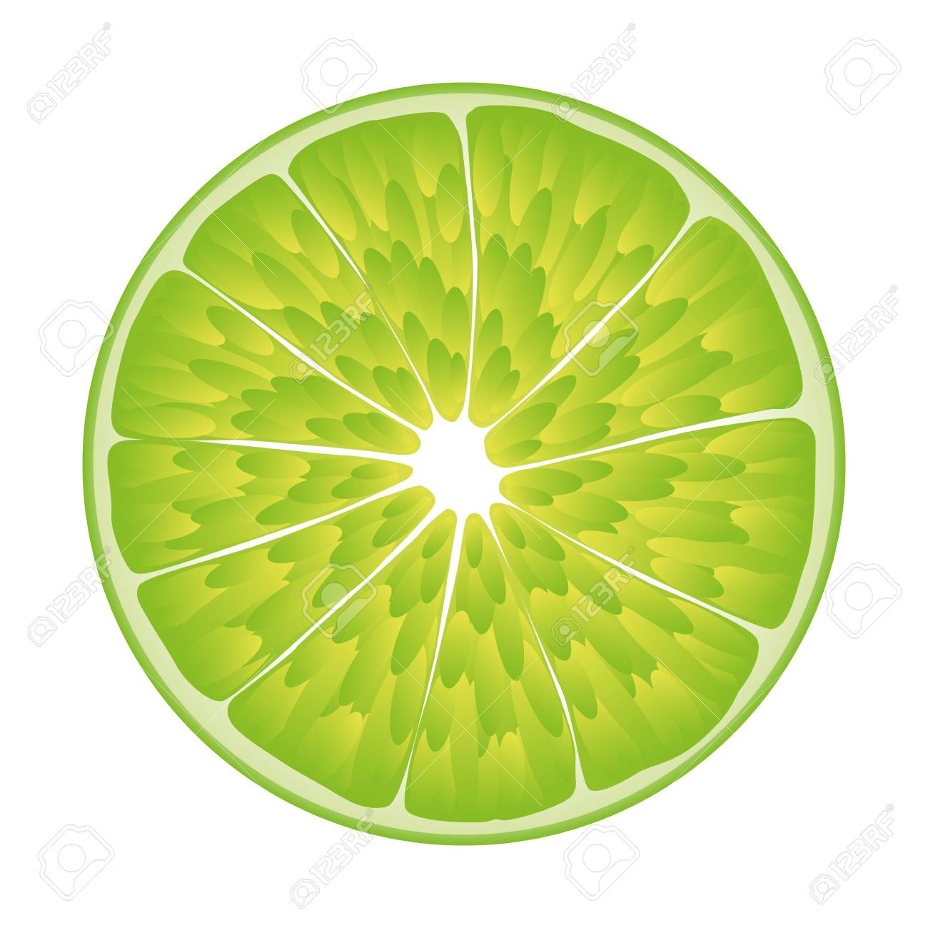 isolated realistic colored circle slice of green color juicy
