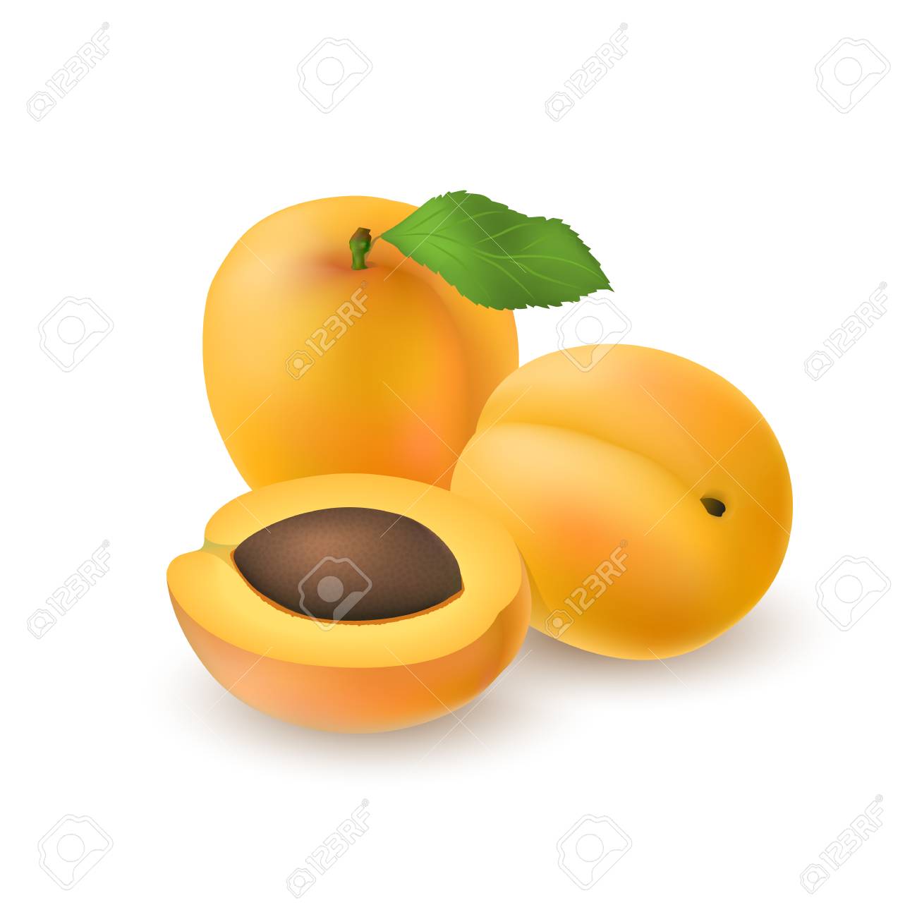 Isoles Realiste Couleur Deux Abricots Juteux Entiers Avec Le Baton Et La Feuille Et Demi Abricot Avec Fosse Avec Ombre Sur Fond Blanc Vue De Cote Clip Art Libres De Droits