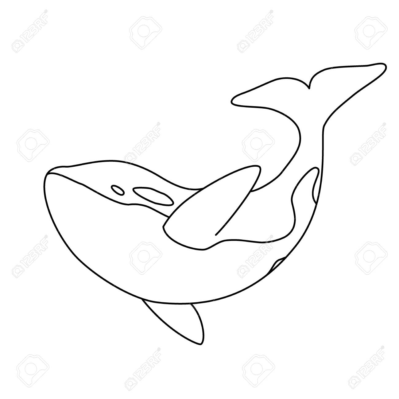 Featured image of post Orca Whale Clipart Black And White Find high quality orca whale clipart all png clipart images with transparent backgroud can be download for free