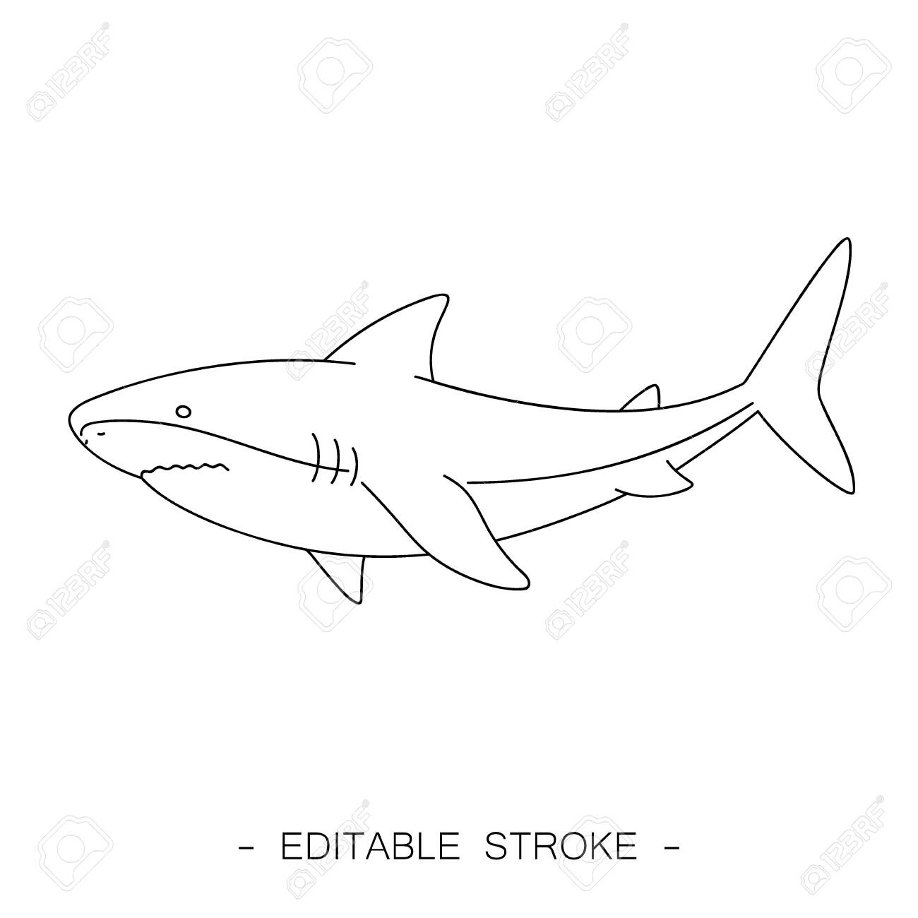 isolated black outline shark on white background line sea animal outline of a shark