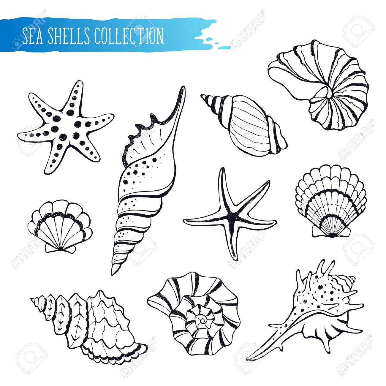 dibujados a mano conchas de mar y estrellas de recogida ilustración