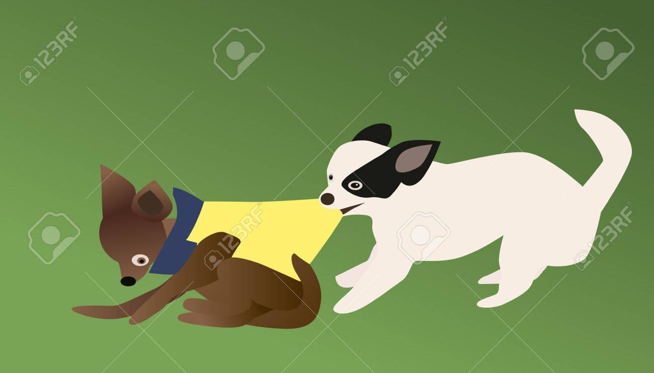 ベクトルとチワワ犬咬傷のイラストを離れて服をつかむのイラスト素材 ベクタ Image