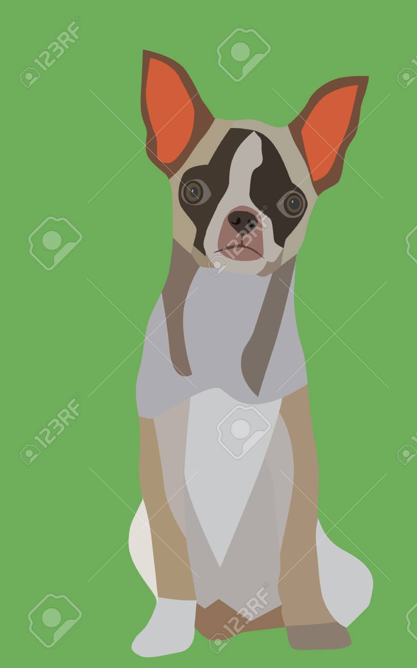 かわいい犬チワワのベクトルのイラスト素材 ベクタ Image