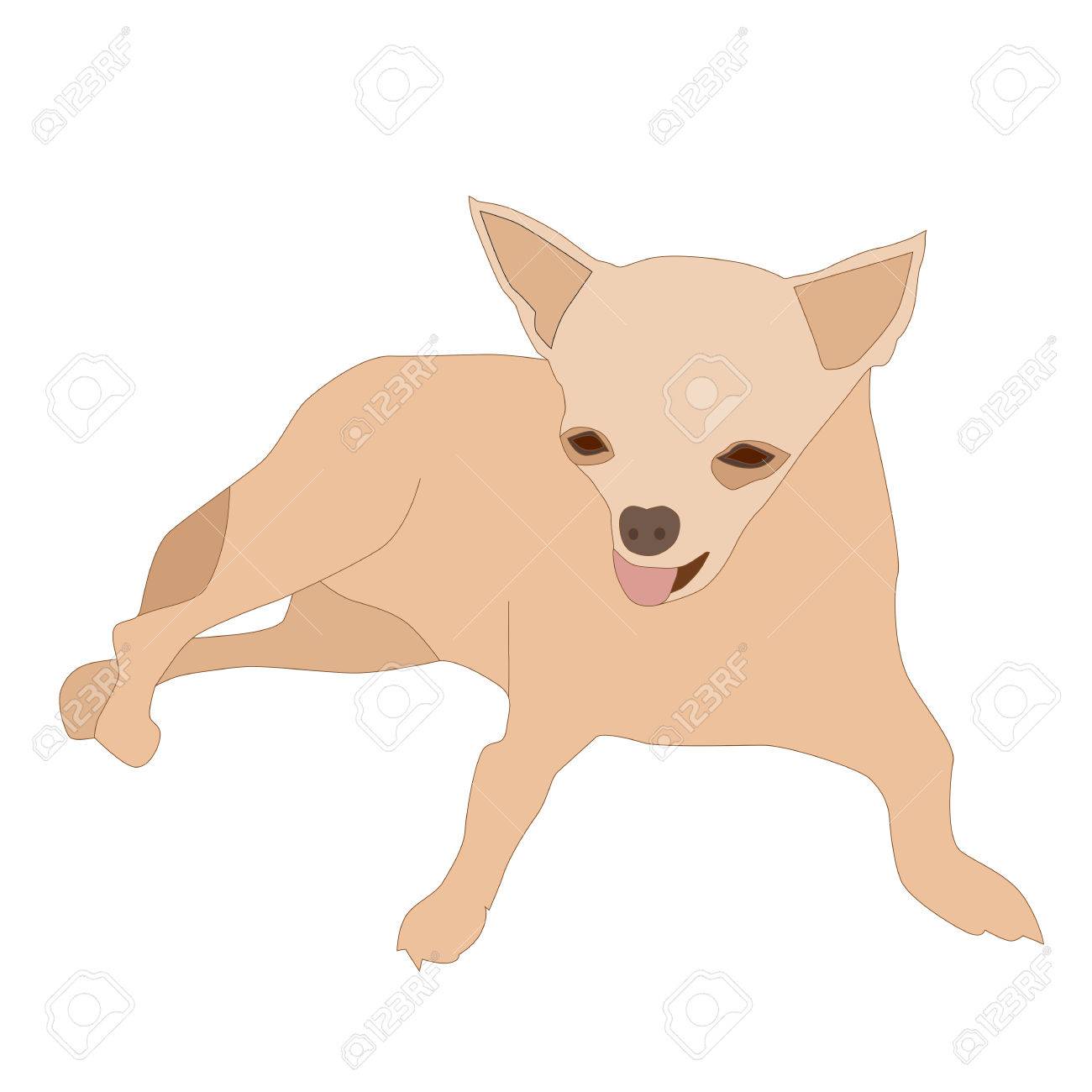 休憩かわいい小型犬チワワのベクトル イラスト のイラスト素材 ベクタ Image