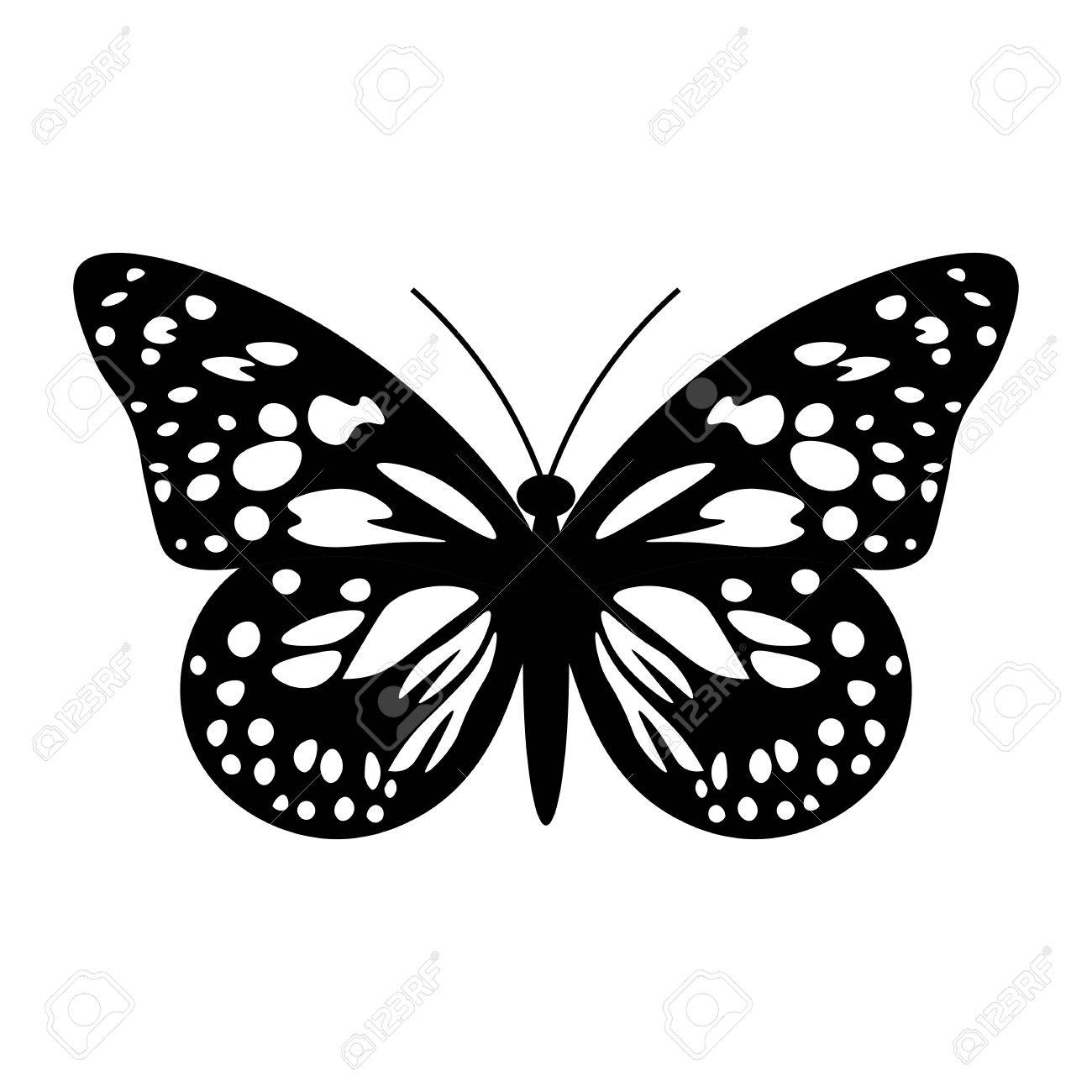Beautiful Black And White Butterfly Isolated On White Royalty Free