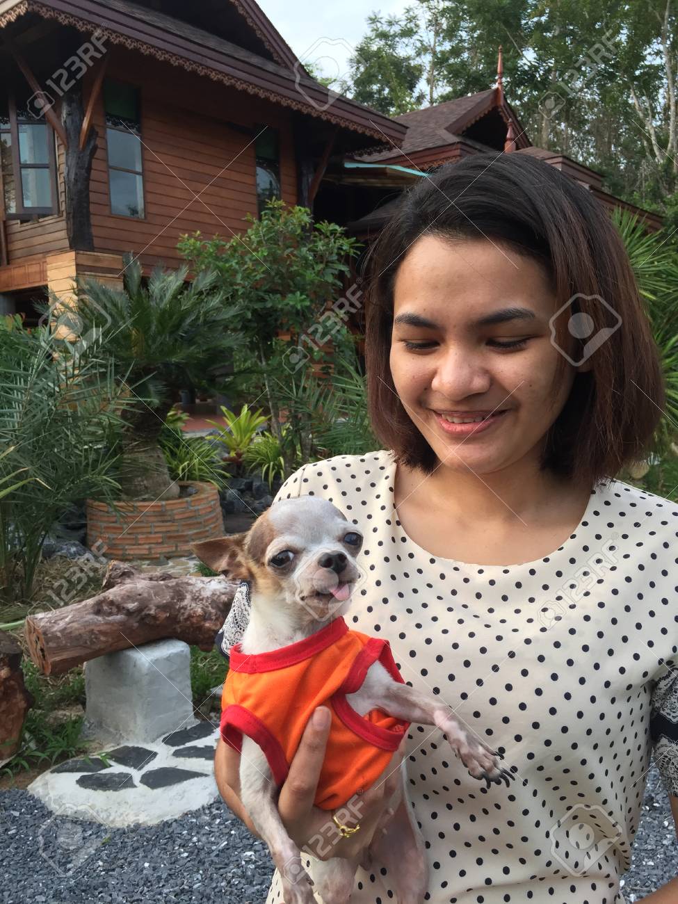 ever clean cat litter walmart