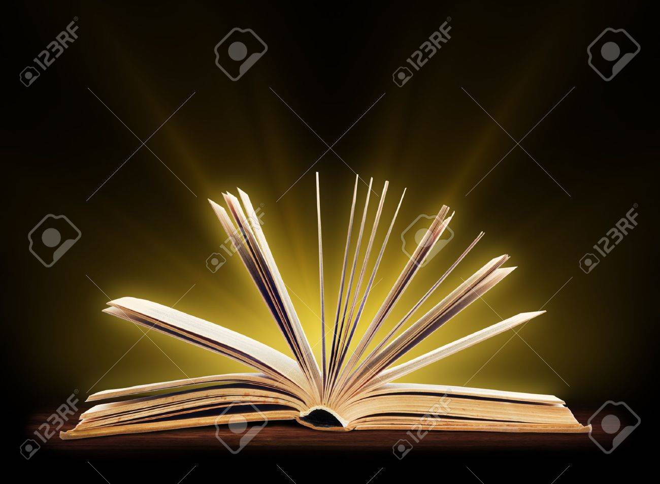 libro libro abierto con luz especial educación fotos retratos