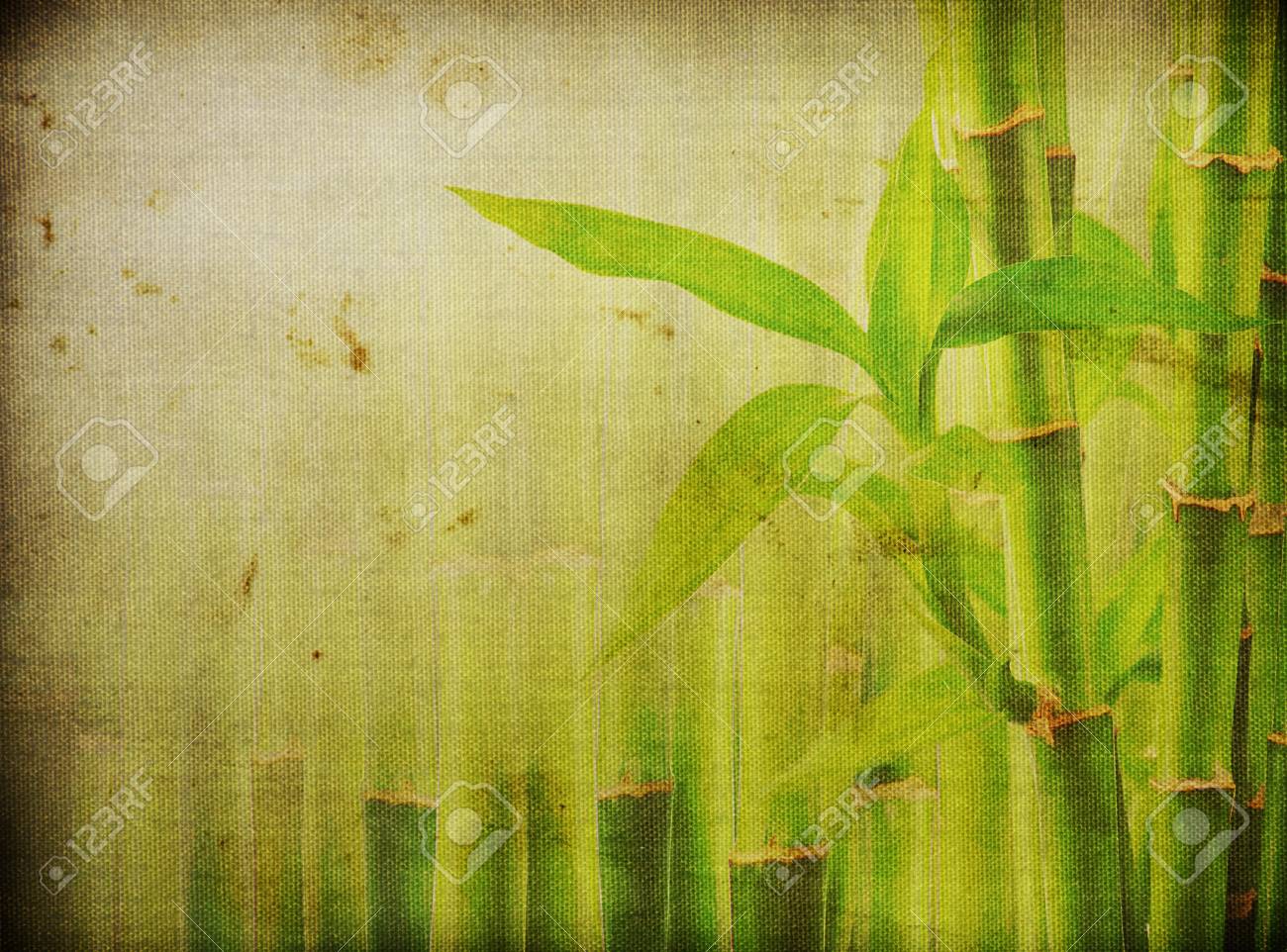 グランジ竹背景 の写真素材 画像素材 Image