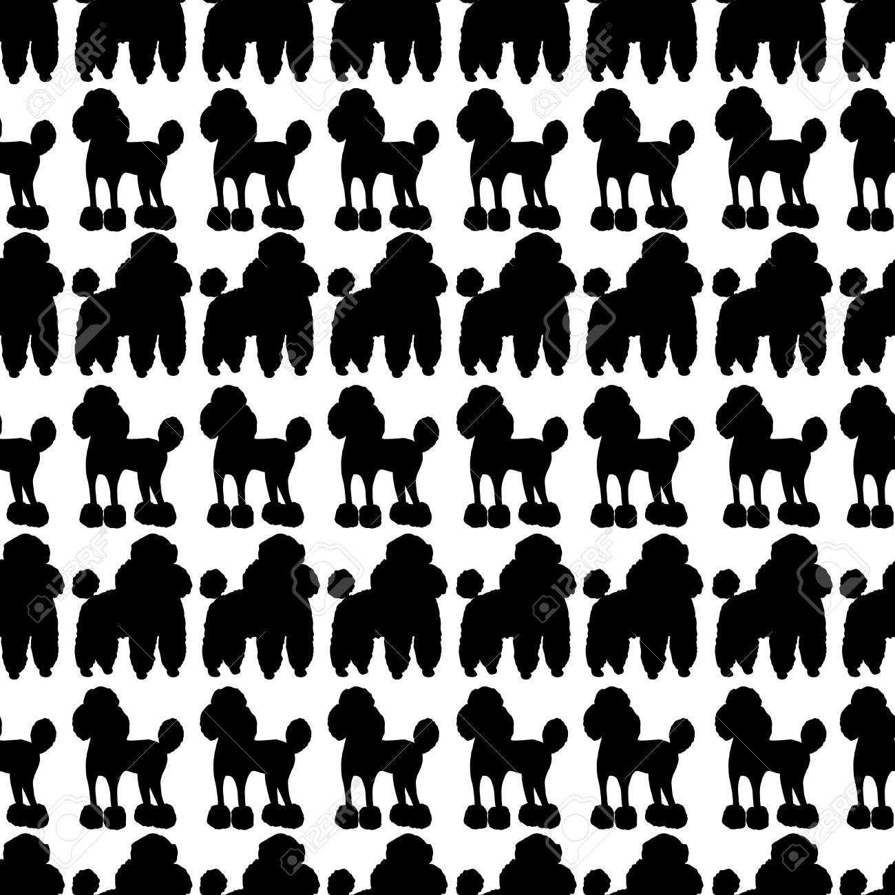 Main Drôle De Dessin Modèle Sans Couture De Caniche Blanc Noir Chien De Dessin Animé De Vecteur