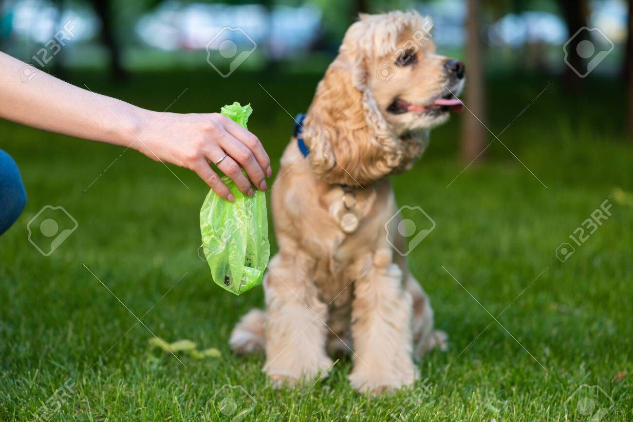 bag of dog poop