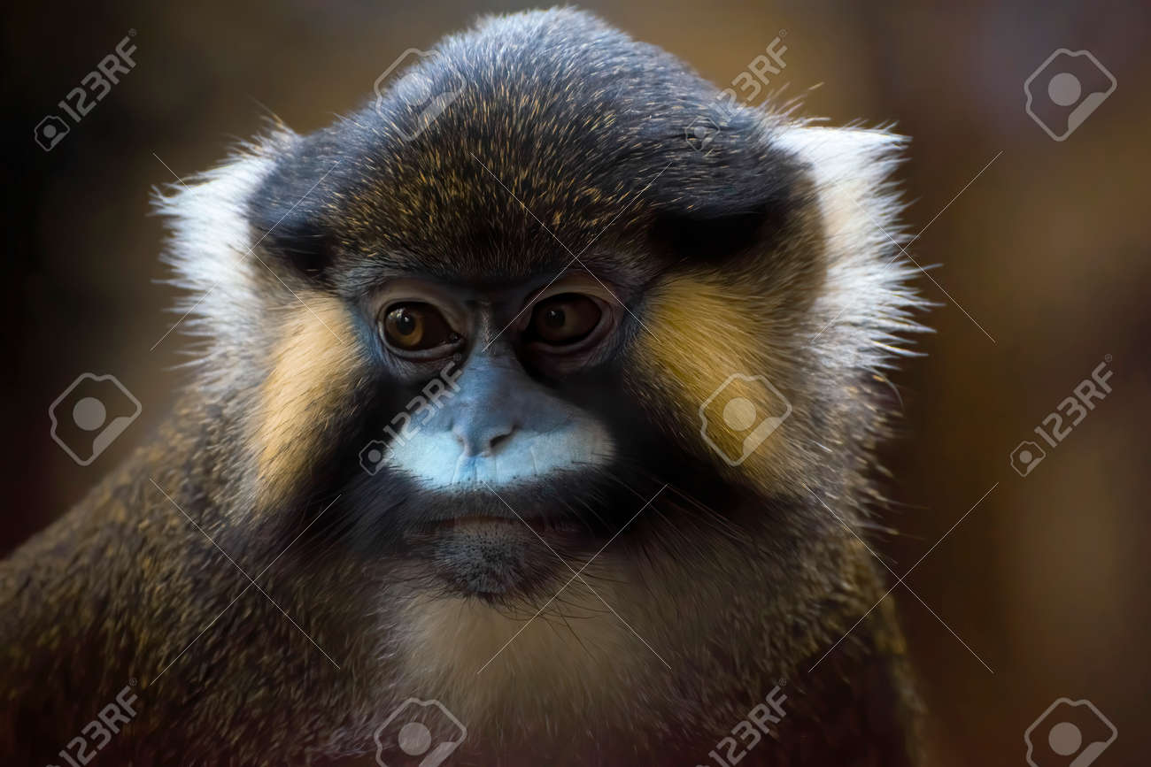 etiam-dictum-ipsum-a-felis