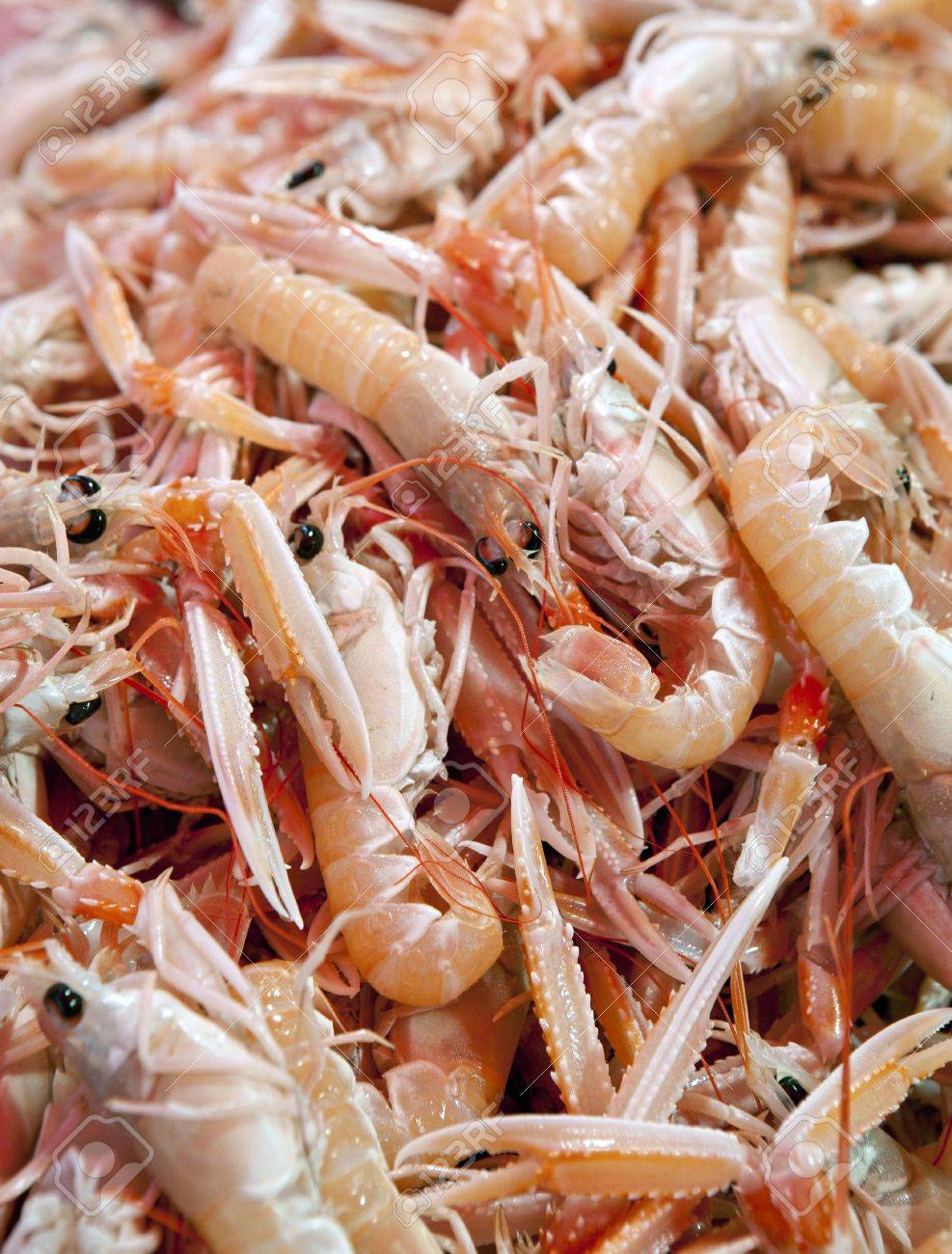 海の食品市場の棚の上のピンクの生えびがたくさん の写真素材 画像素材 Image