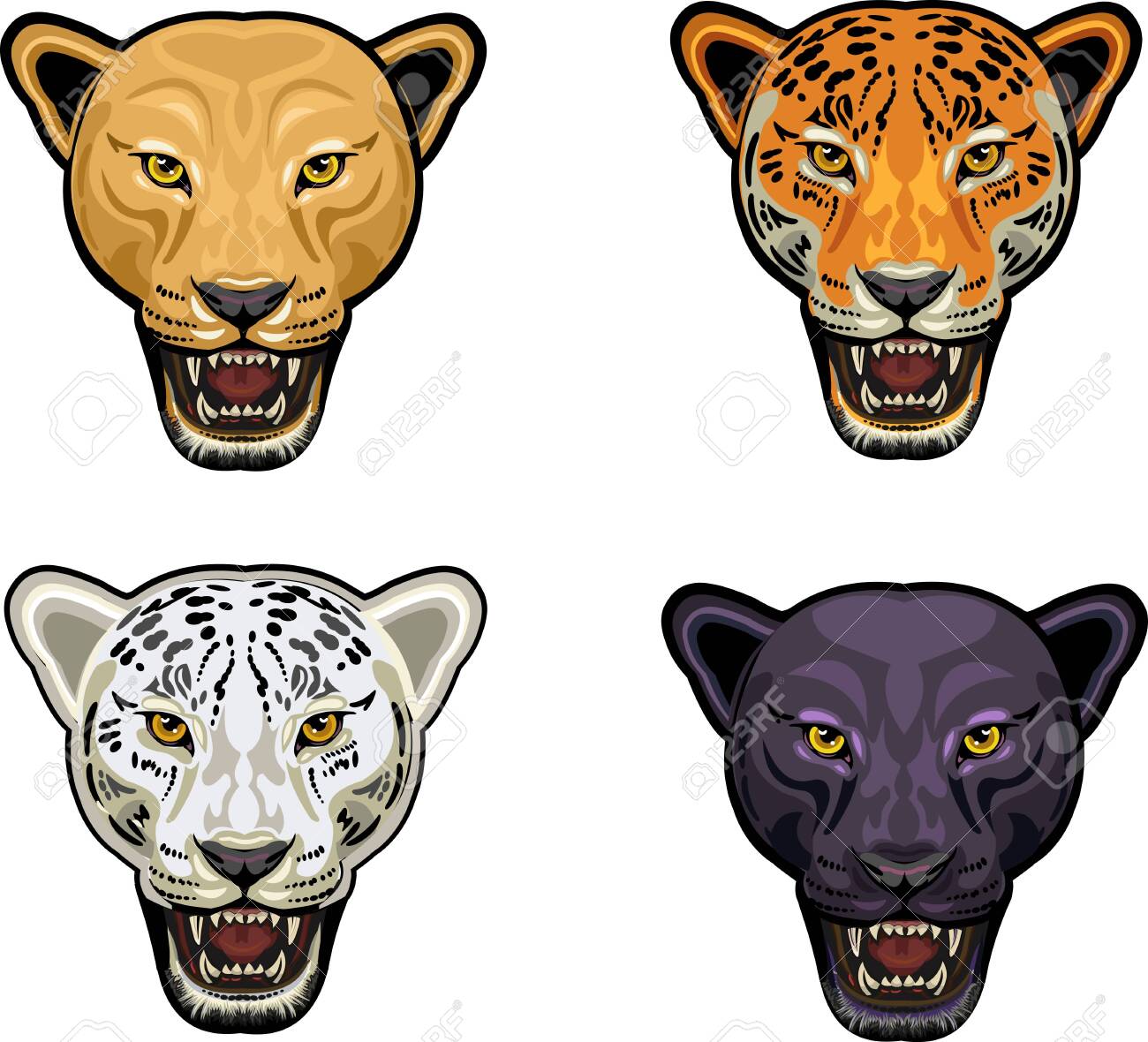 Black Panther, Jaguar, Leopard, Puma 