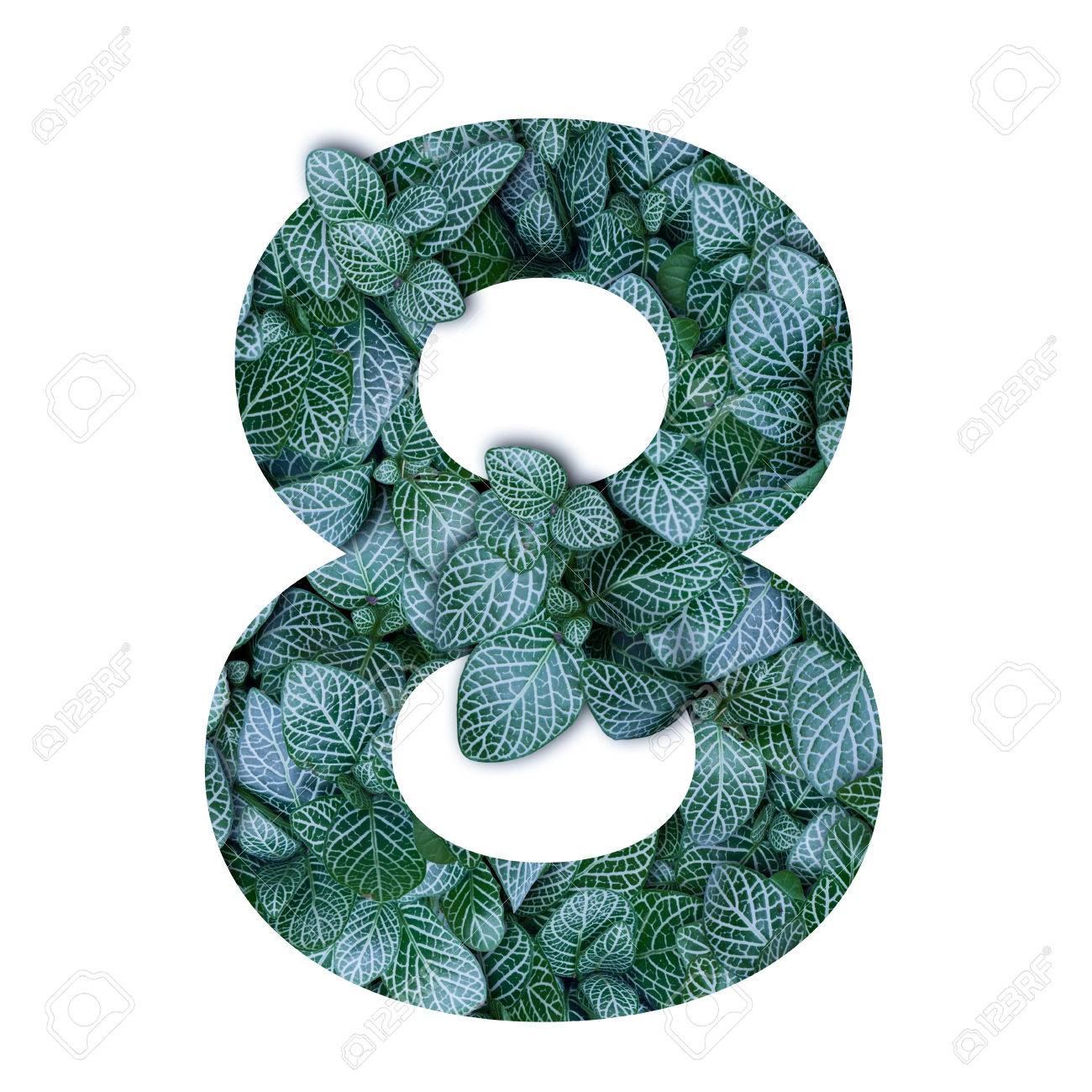 80167070-nature-concept-alphabet-of-green-leaves-in-number-eight-shape.jpg