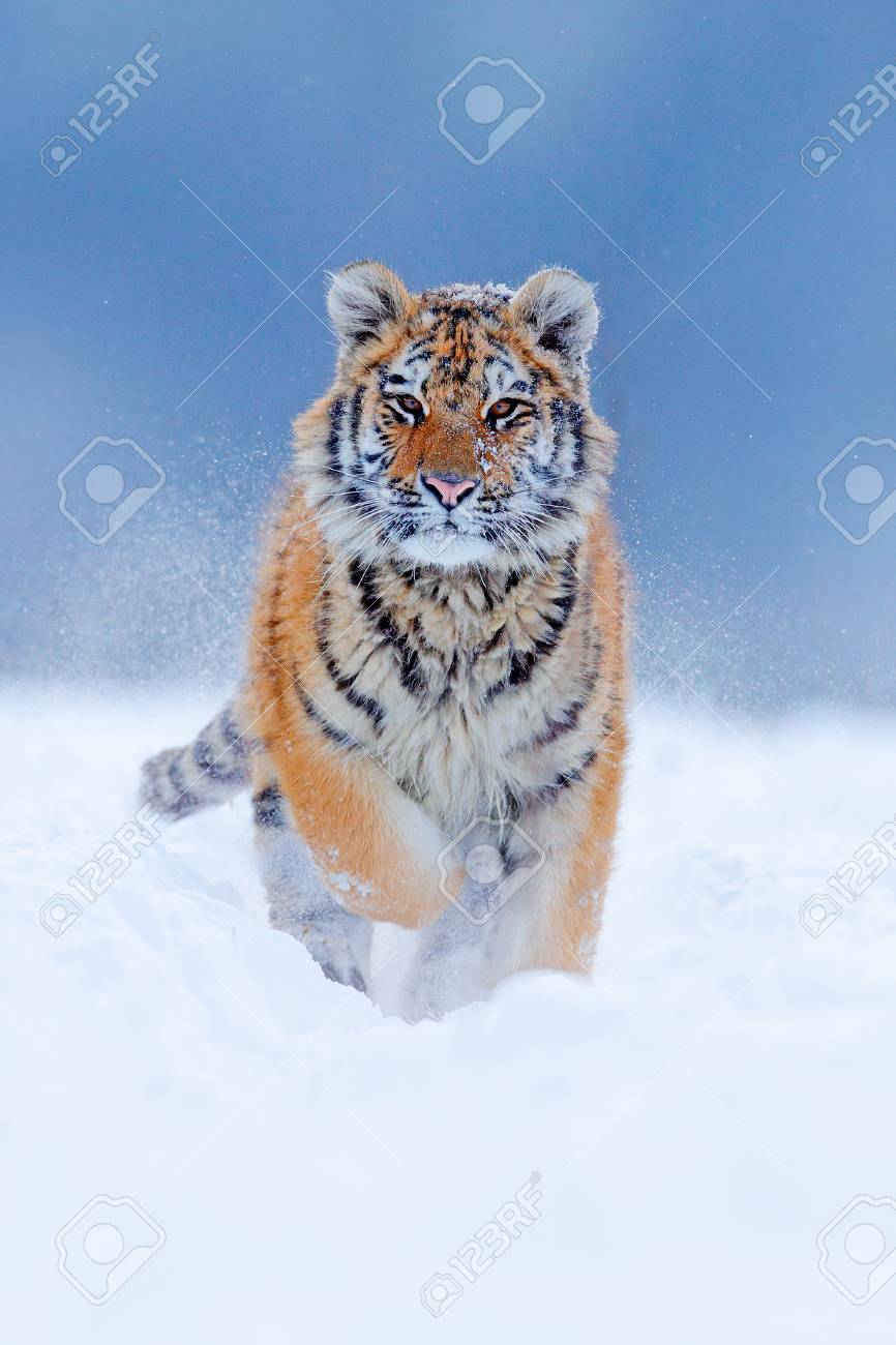 cb827bb944302437204e827c6f5af5