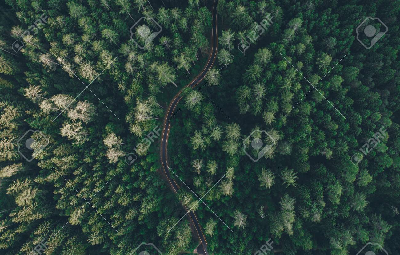 Aerial View Of A Road In The Middle Of The Forest Stock Photo Picture And Royalty Free Image Image Aerial View Of A Road In The Middle Of The Forest Stock Photo Picture And Royalty Free Image Image