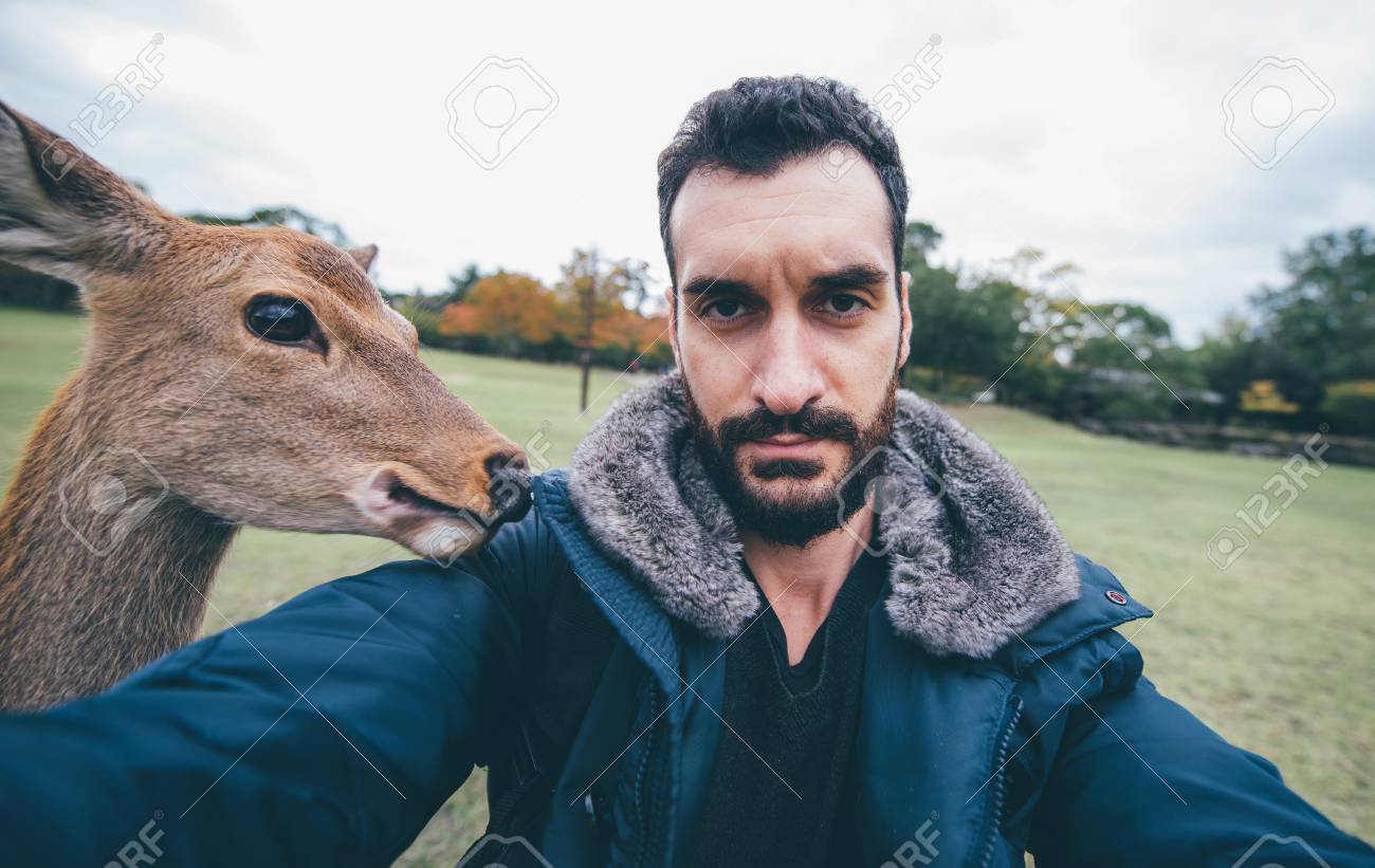 奈良公園 京都 日本の鹿や動物は 動物とセルフを取ります の写真素材 画像素材 Image 奈良公園 京都 日本の鹿や動物は 動物とセルフを取ります の写真素材 画像素材 Image