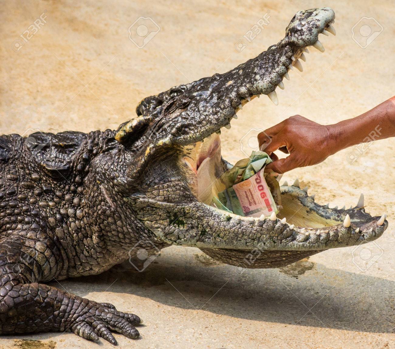 《片手鍋》ビタクラフト ダラス/VitaCraft DALLAS★内径21cm★ステンレス フライパン★調理器具 キッチン用品★保管 未使用★ マツダ純正ホイールキャップ 当時物 タイタン デコトラ レトロ 当時物