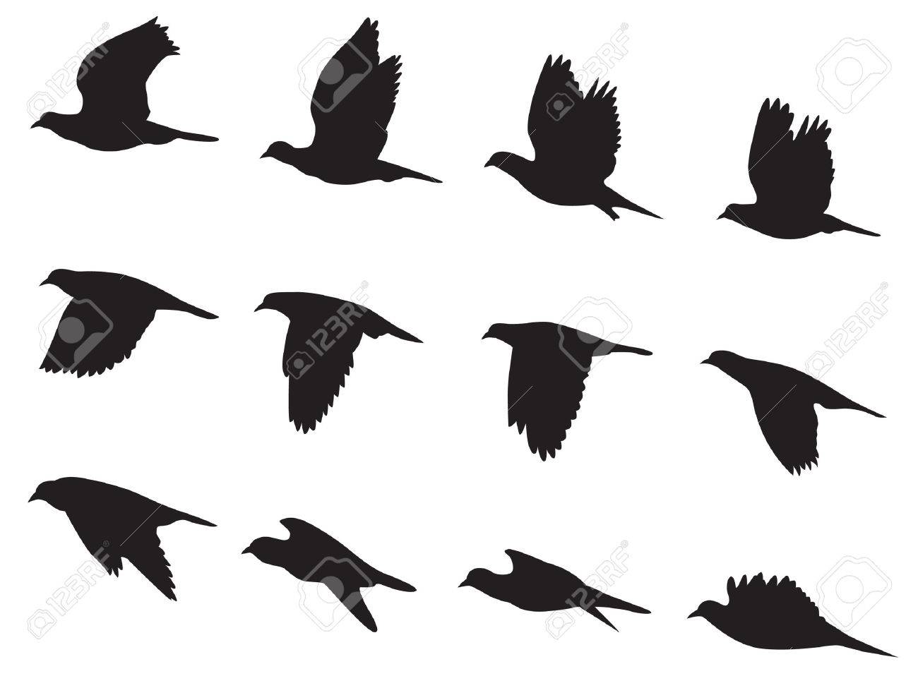 モーションを飛んでいるハト鳥をシルエットします のイラスト素材 ベクタ Image