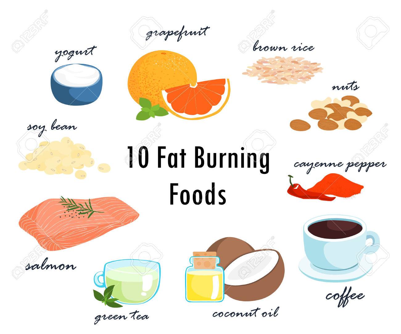 alimentos que queman grasas alimentos que queman grasas