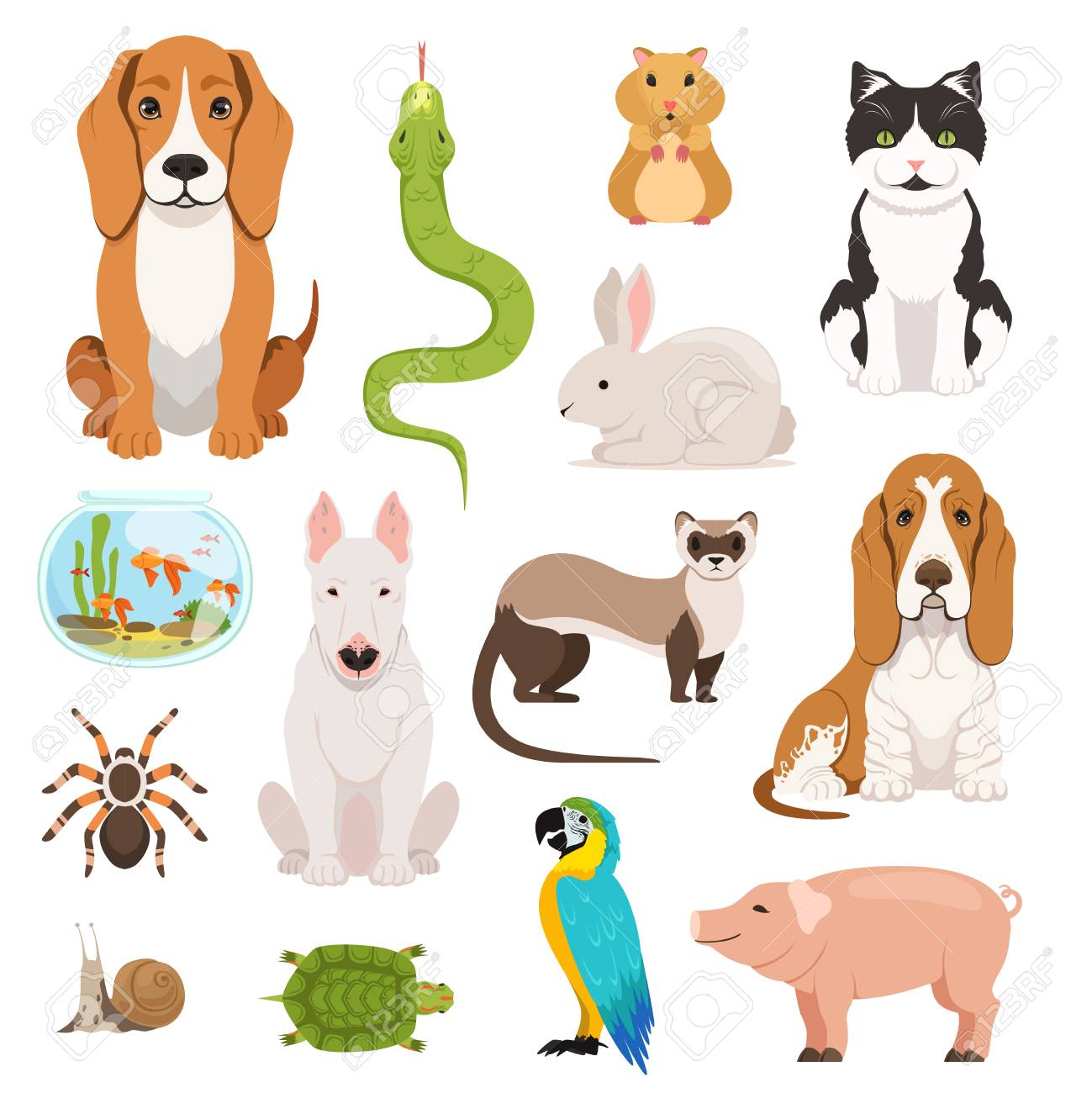 Big vector set of different domestic animals. Cats, dogs, hamster..