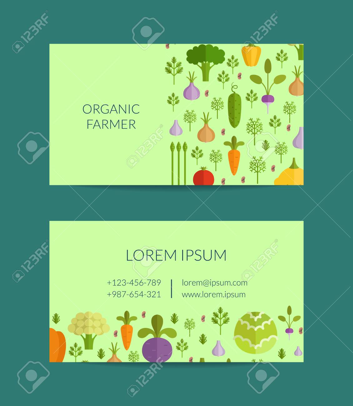 a vector flat vegetables organic farm vegan healthy food business