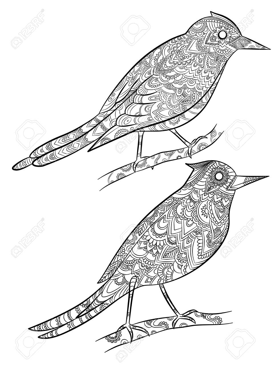 Download Birds Coloring Pages Flying Wild Canary With Linear Floral Pattern Royalty Free Cliparts Vectors And Stock Illustration Image 127699707