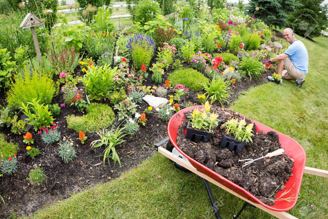 太陽の下で近くに男のガーデニングと庭を植えること の写真素材 画像素材 Image