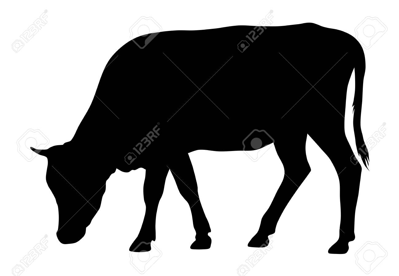 vector illustration of cow silhouette royalty free cliparts vectors and stock illustration image 102198935 vector illustration of cow silhouette
