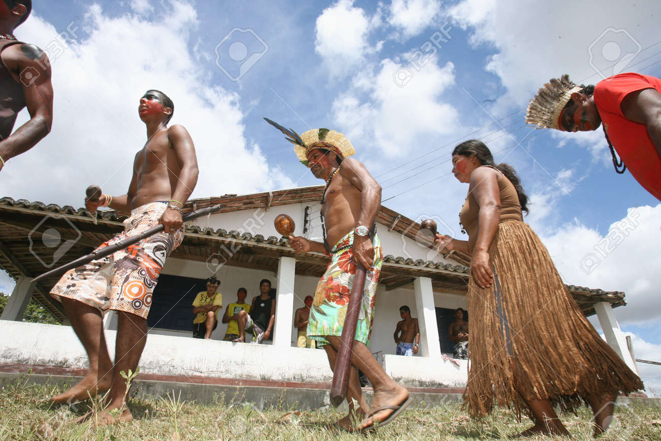 Pau Brasil Bahia fonte: previews.123rf.com Fonte: previews.123rf.com