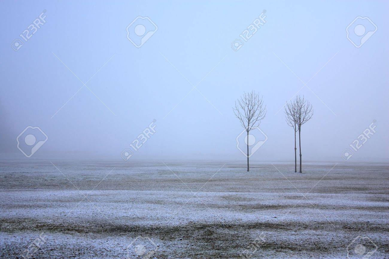 霧雪