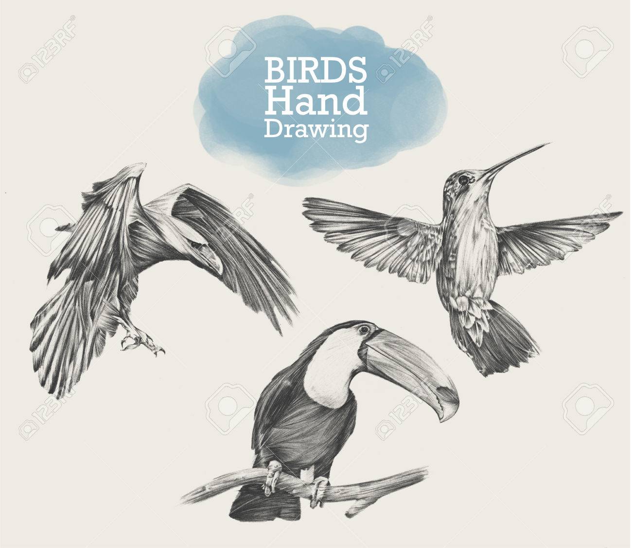 手描きイラストを描く鳥のセット のイラスト素材 ベクタ Image