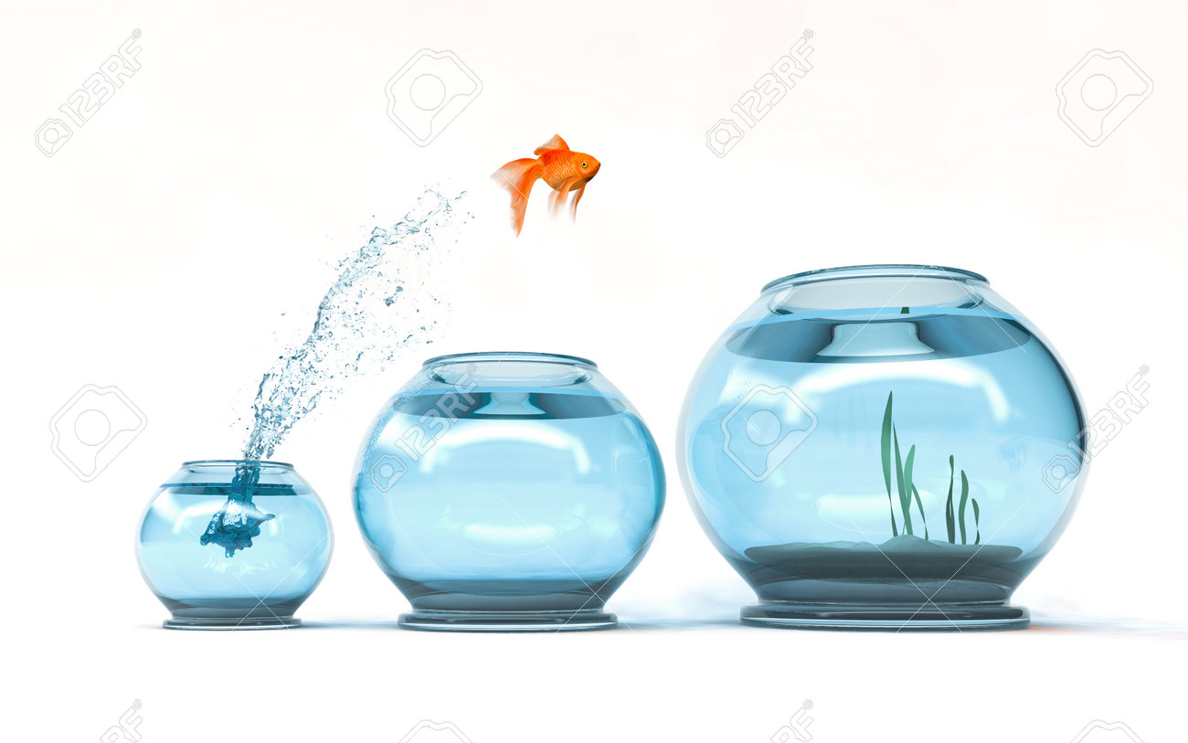 Jumping to the highest level - goldfish jumping in a bigger bowl - aspiration and achievement concept. 3d render illustartion - 87846417 Jumping to the highest level - goldfish jumping in a bigger bowl - aspiration and achievement concept. 3d render illustartion - 87846417