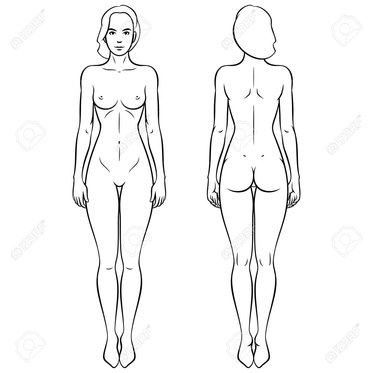 女性　裸　正面 裸の女性の体のベクトルアウトラインイラスト。正面図と背面図のイラスト素材・ベクター Image 164505502