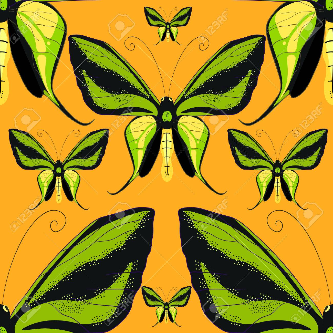 Ornithoptera Paradisea Ailes De Papillon Oiseau Modèle Sans Couture Macrovector Illustration