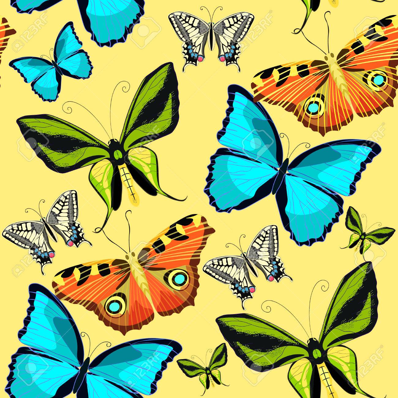 Modèle Sans Couture Ornithoptera Paradisea Ailes De Papillon De Loiseau Du Paradis Illustration Vectorielle