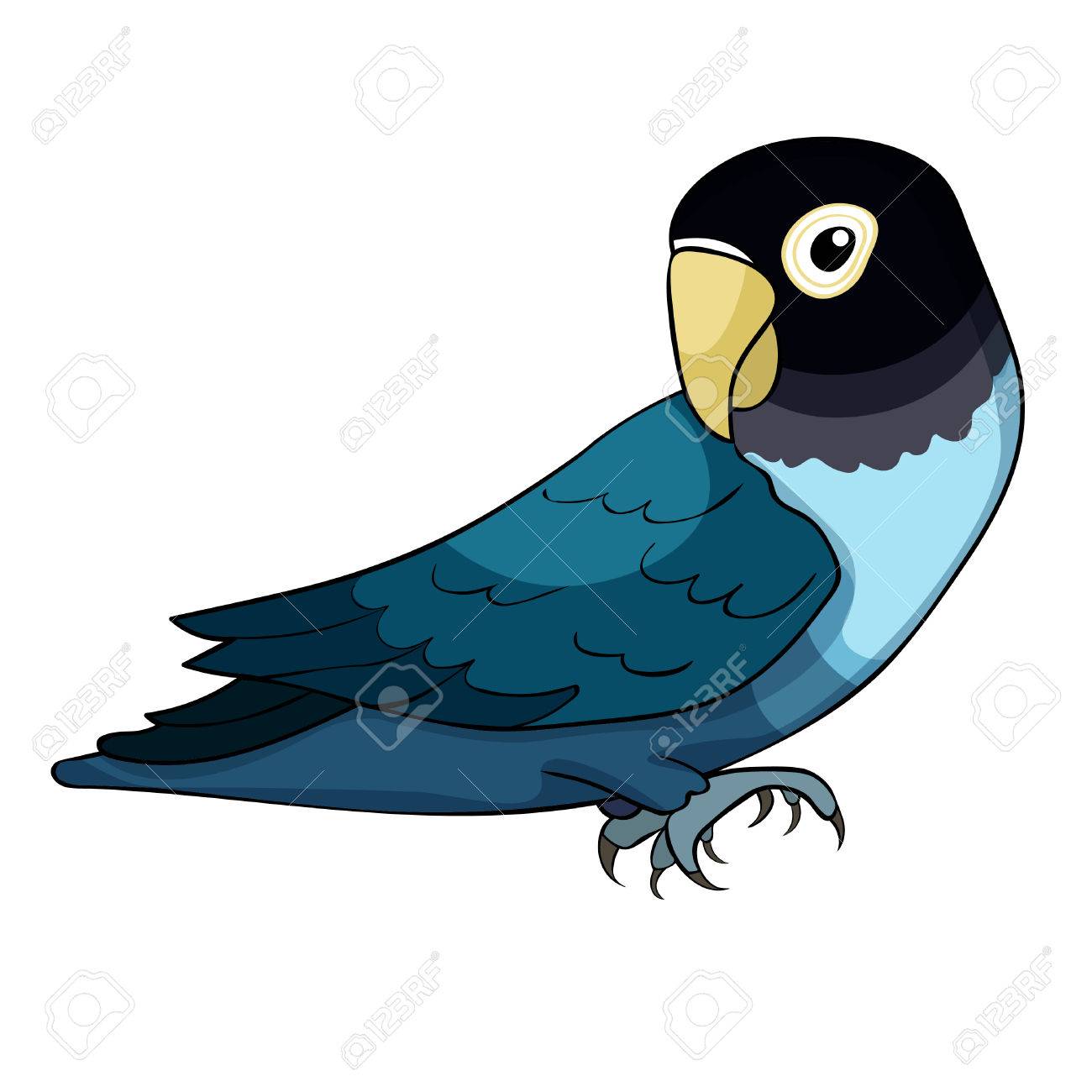 87 Gambar Animasi Lovebird HD 87 Gambar Animasi Lovebird HD