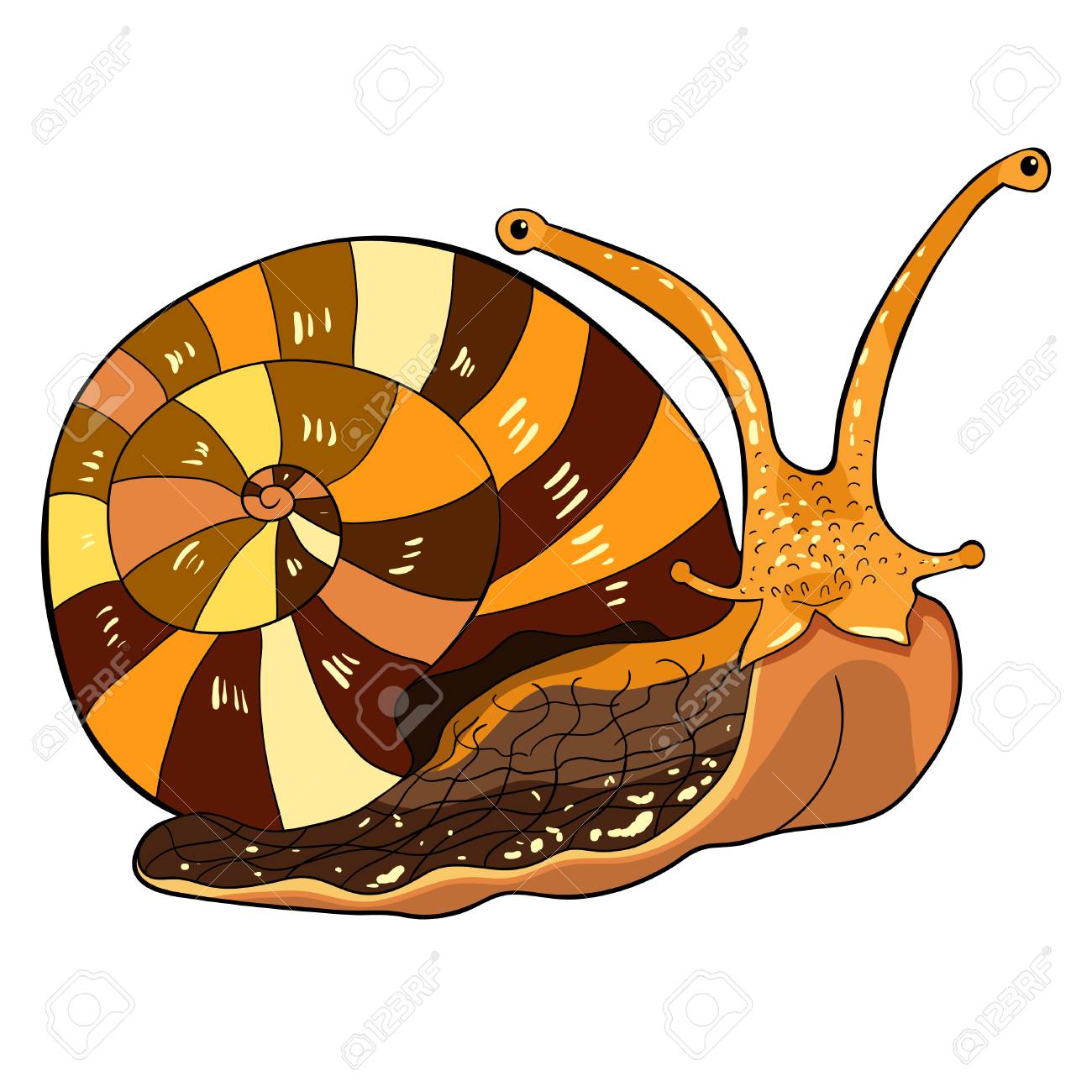 the insect snail gastropod mollusk vector illustration royalty free
