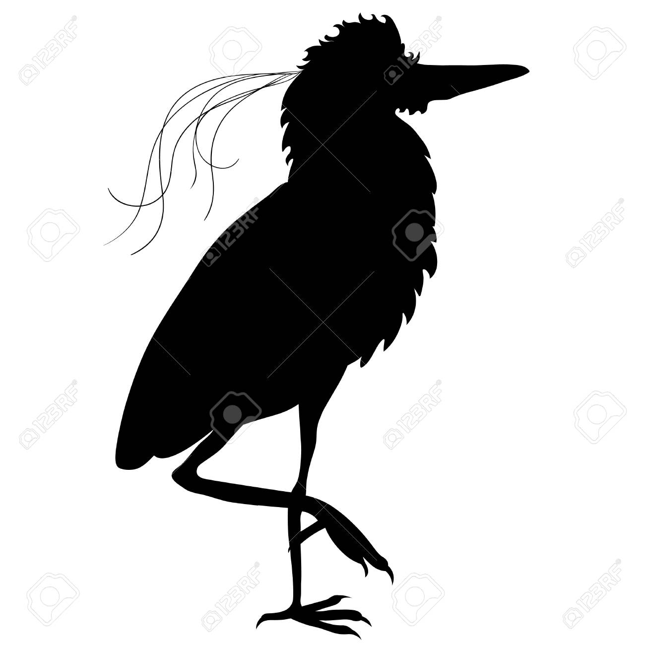 silhouette south american kvakva heron bird vector illustration