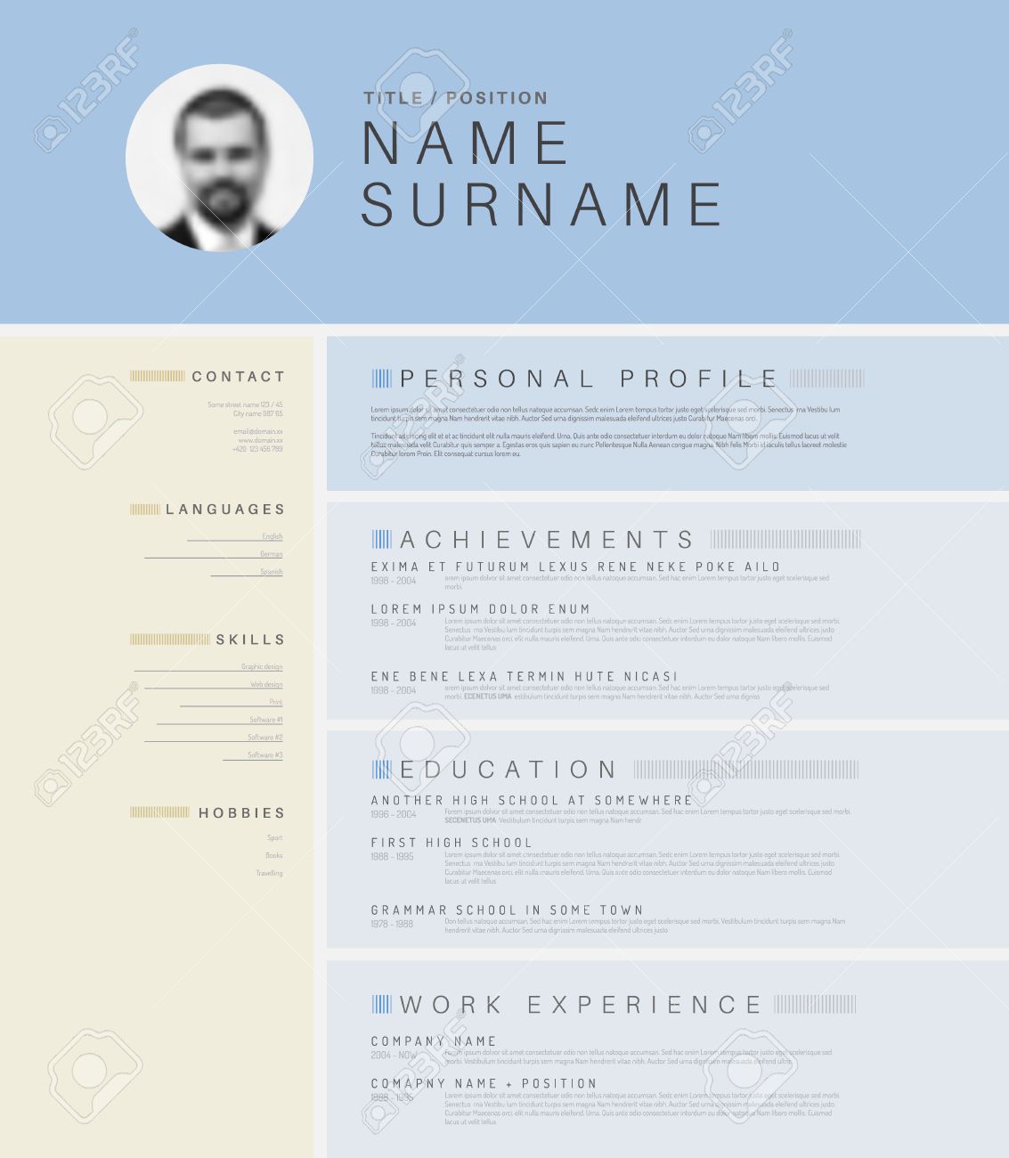 profile in resume