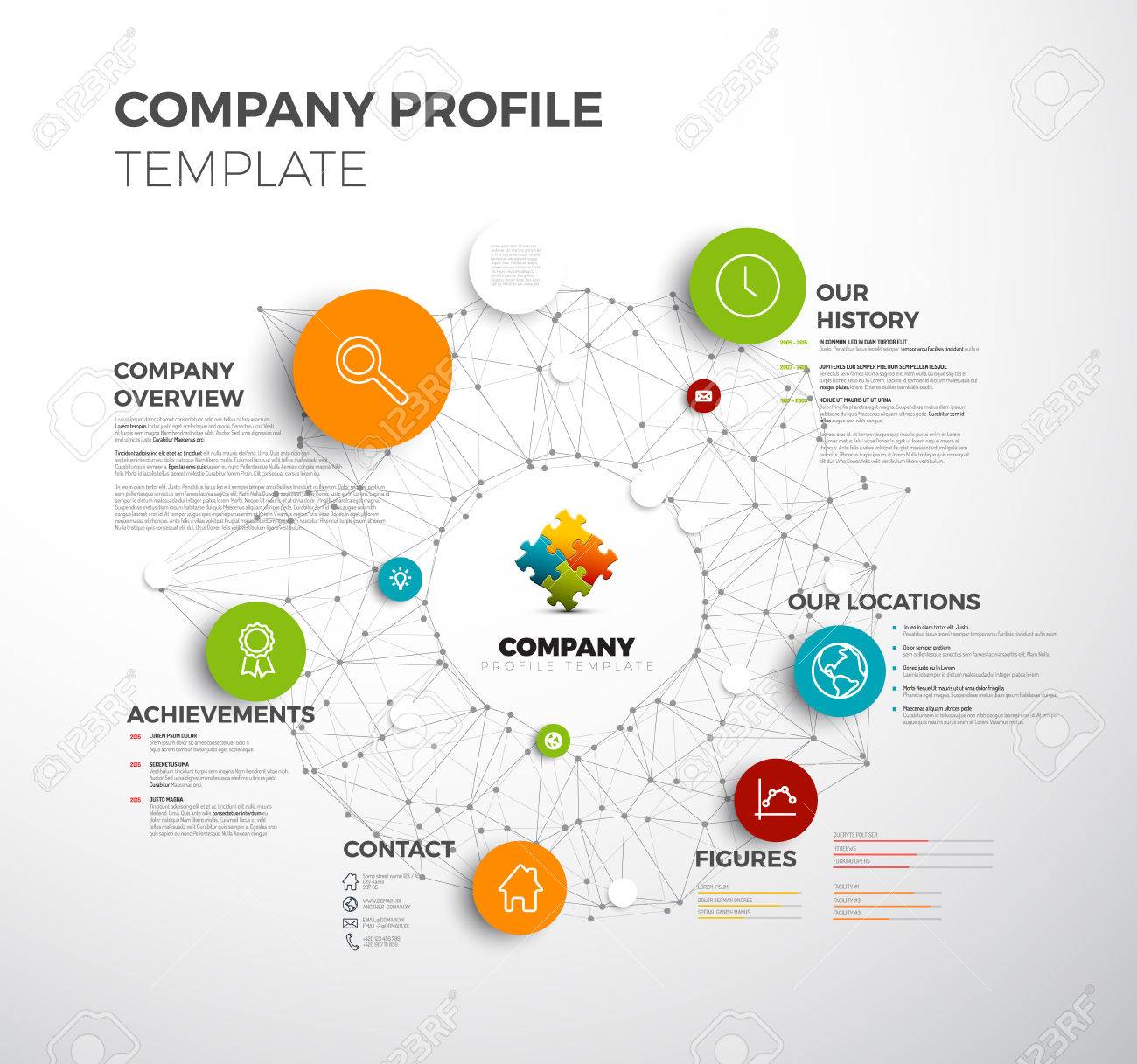 company info graphic overview design template with network in