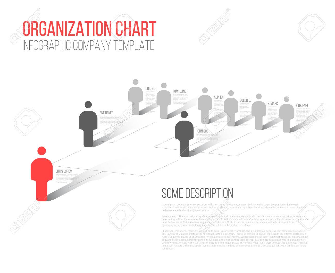 apple organizational structure