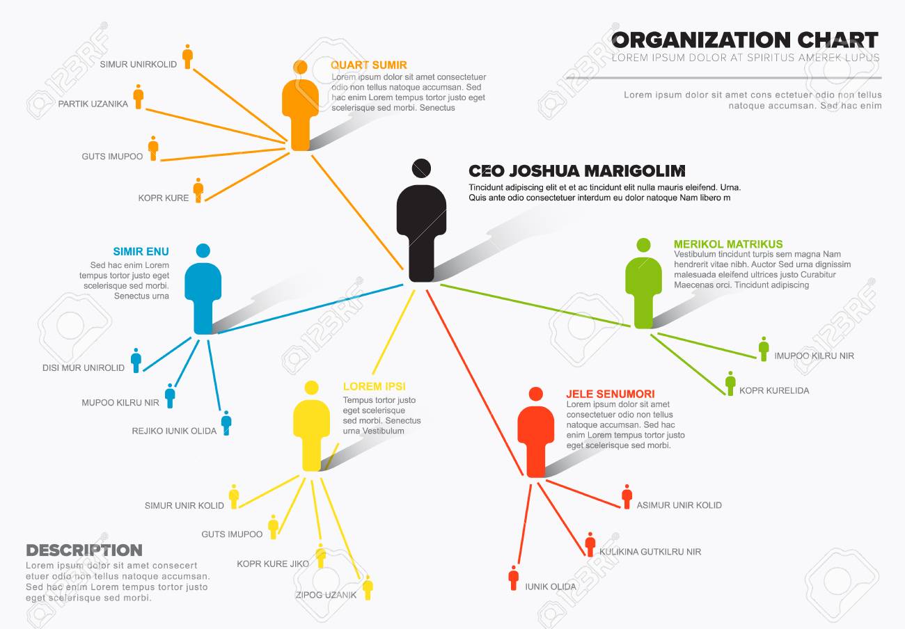 organization hierarchy
