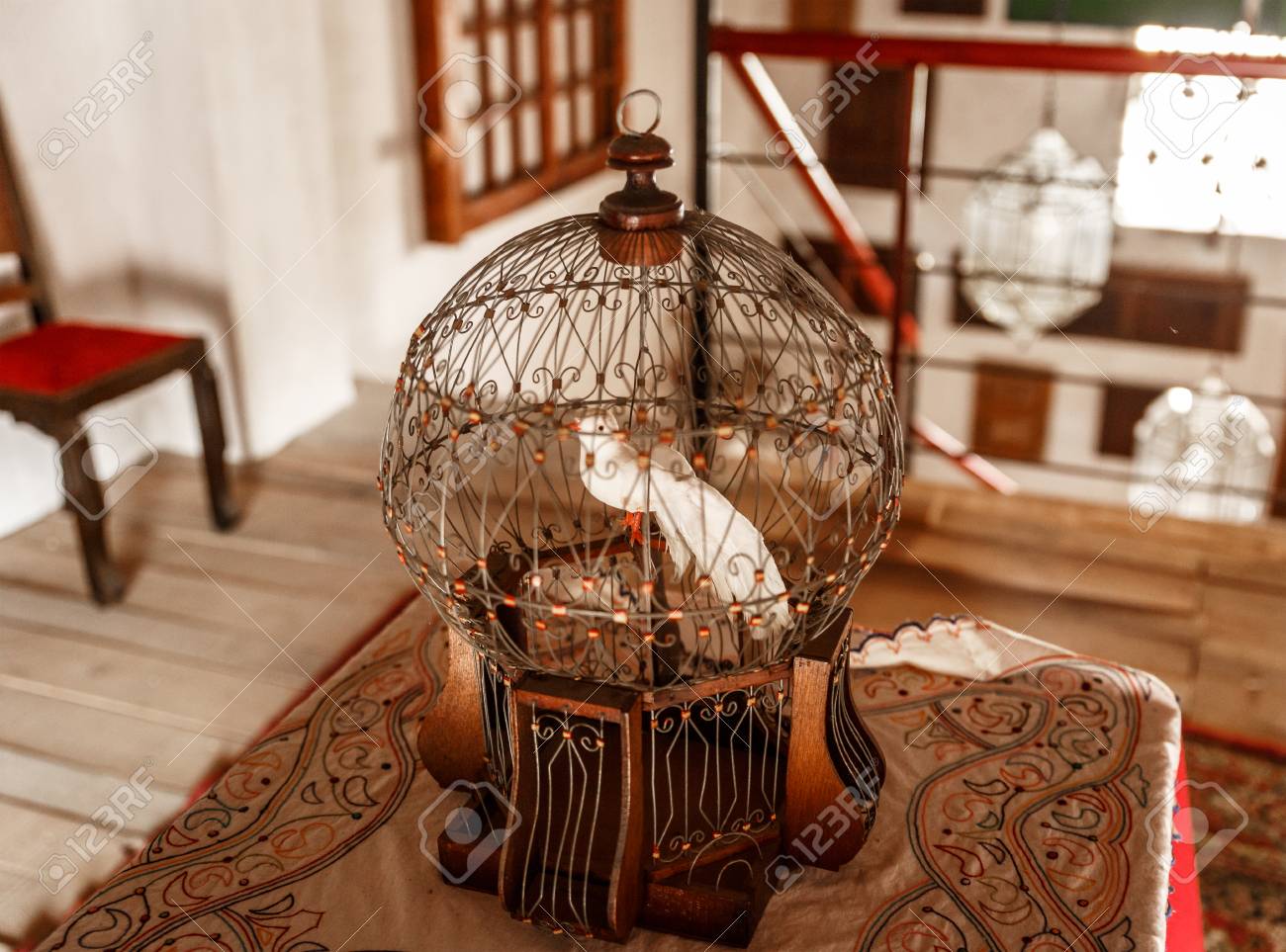 Vieille Cage à Oiseaux Avec Un Oiseau Blanc à Lintérieur Dans Une Vieille Maison