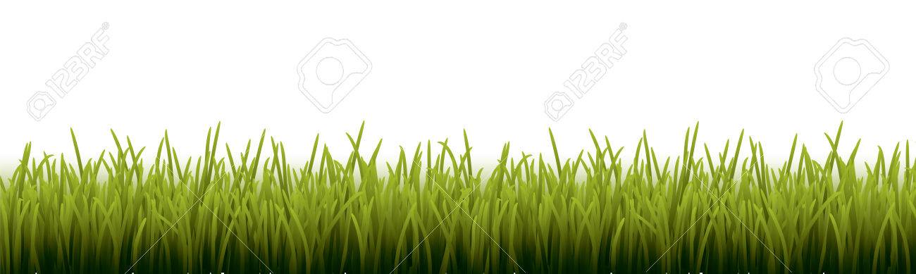 fresh realistic green grass vector illustration royalty free free grass vector